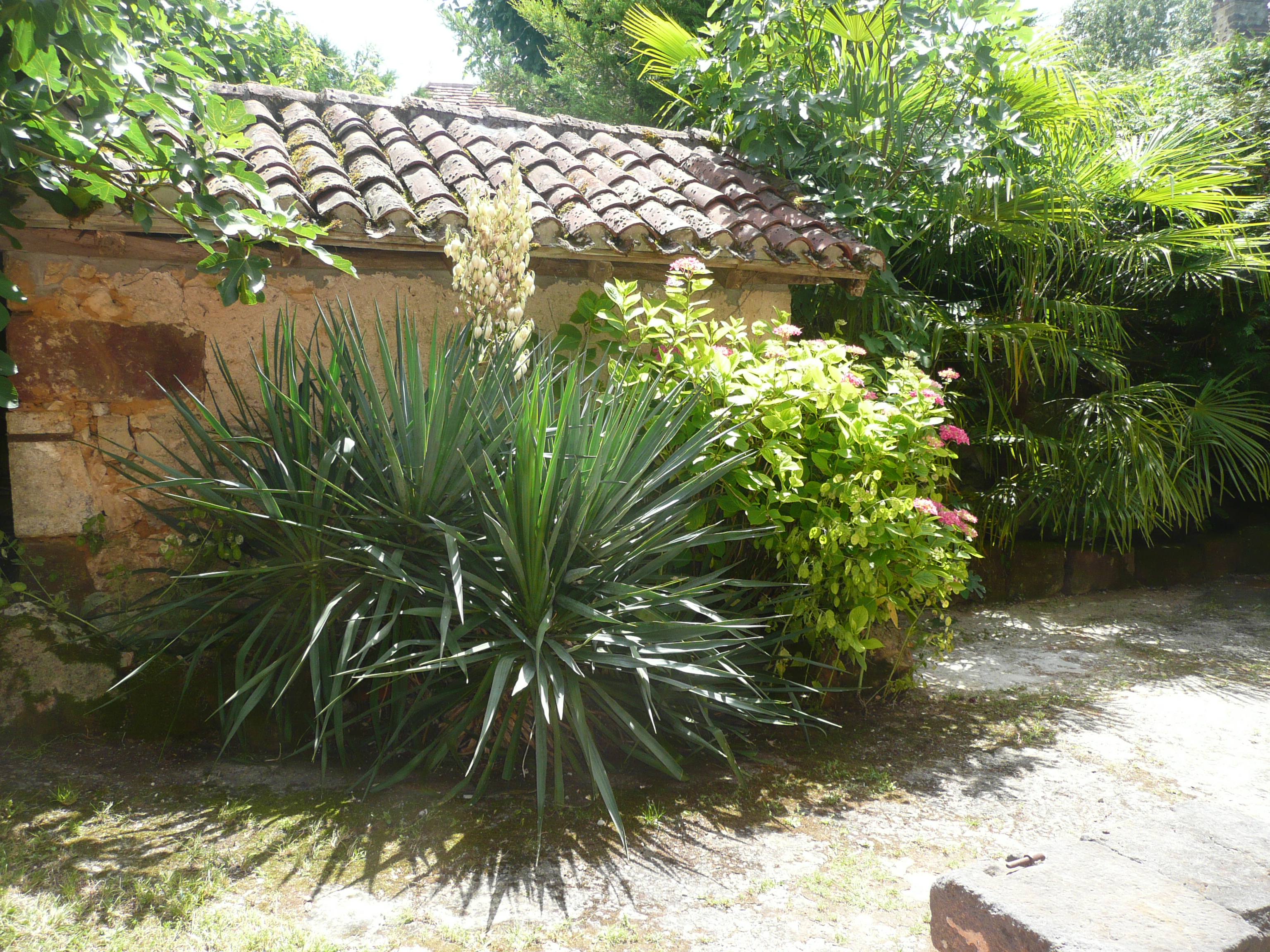 photo6