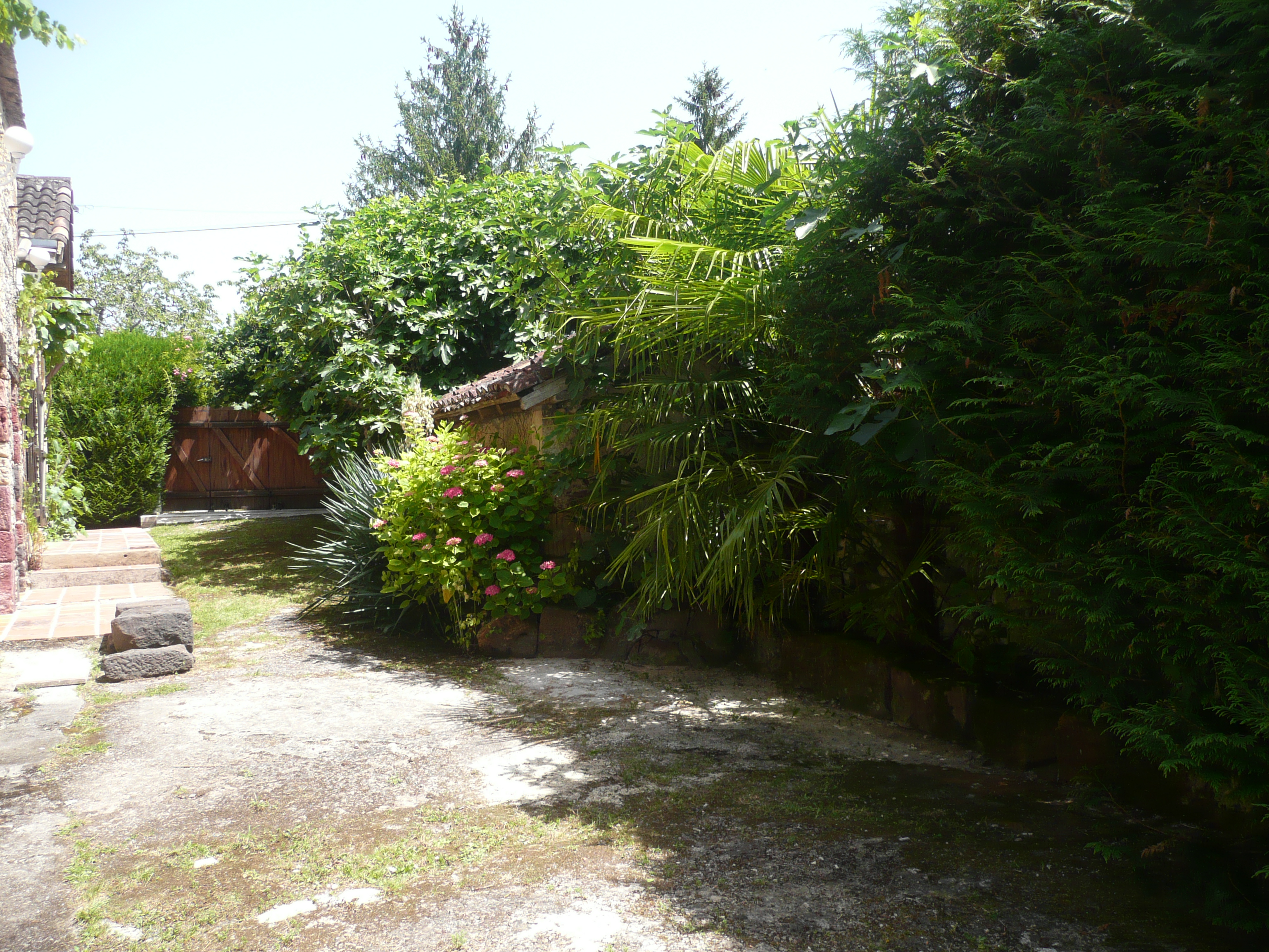 photo5