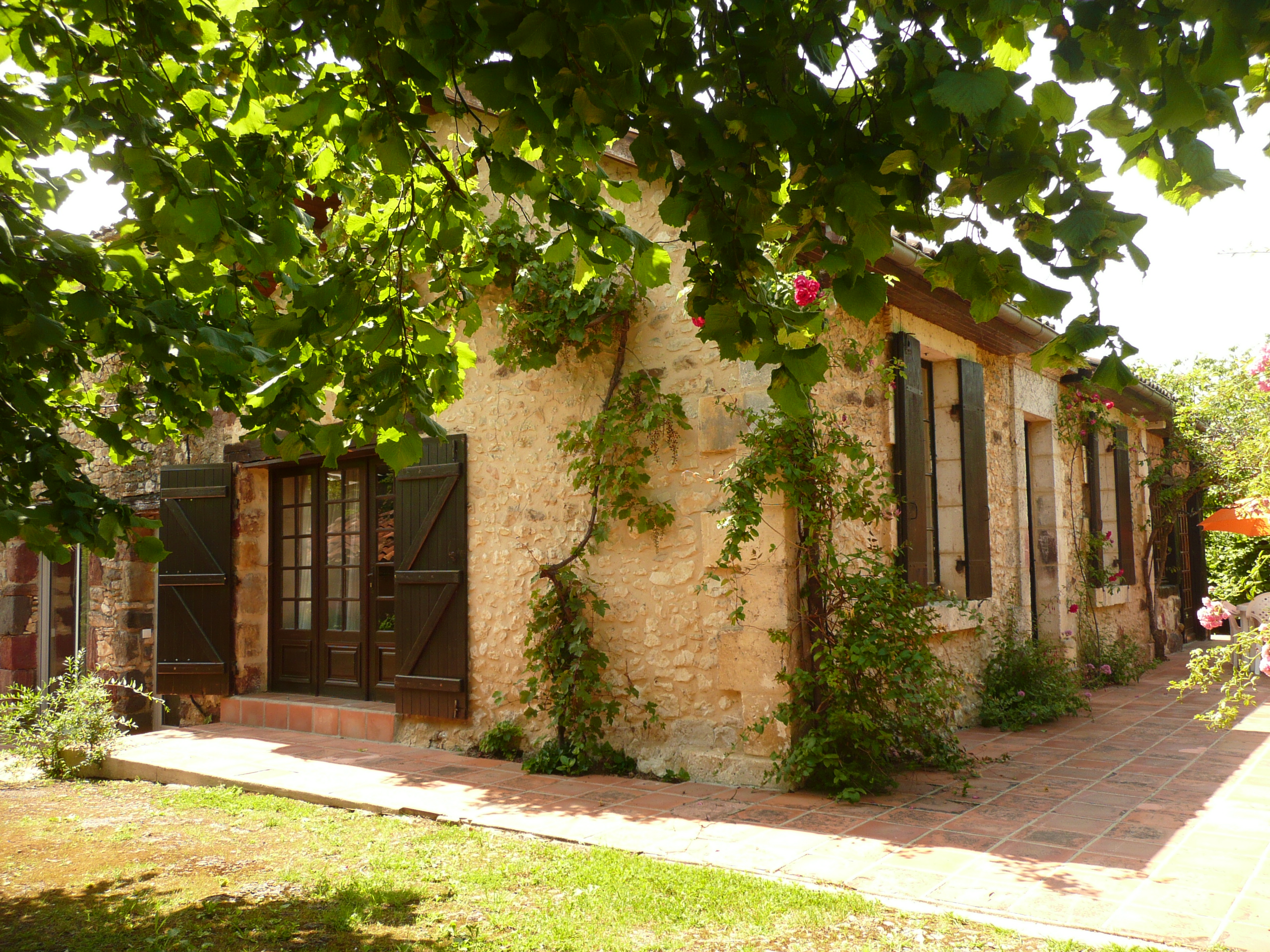 photo1
