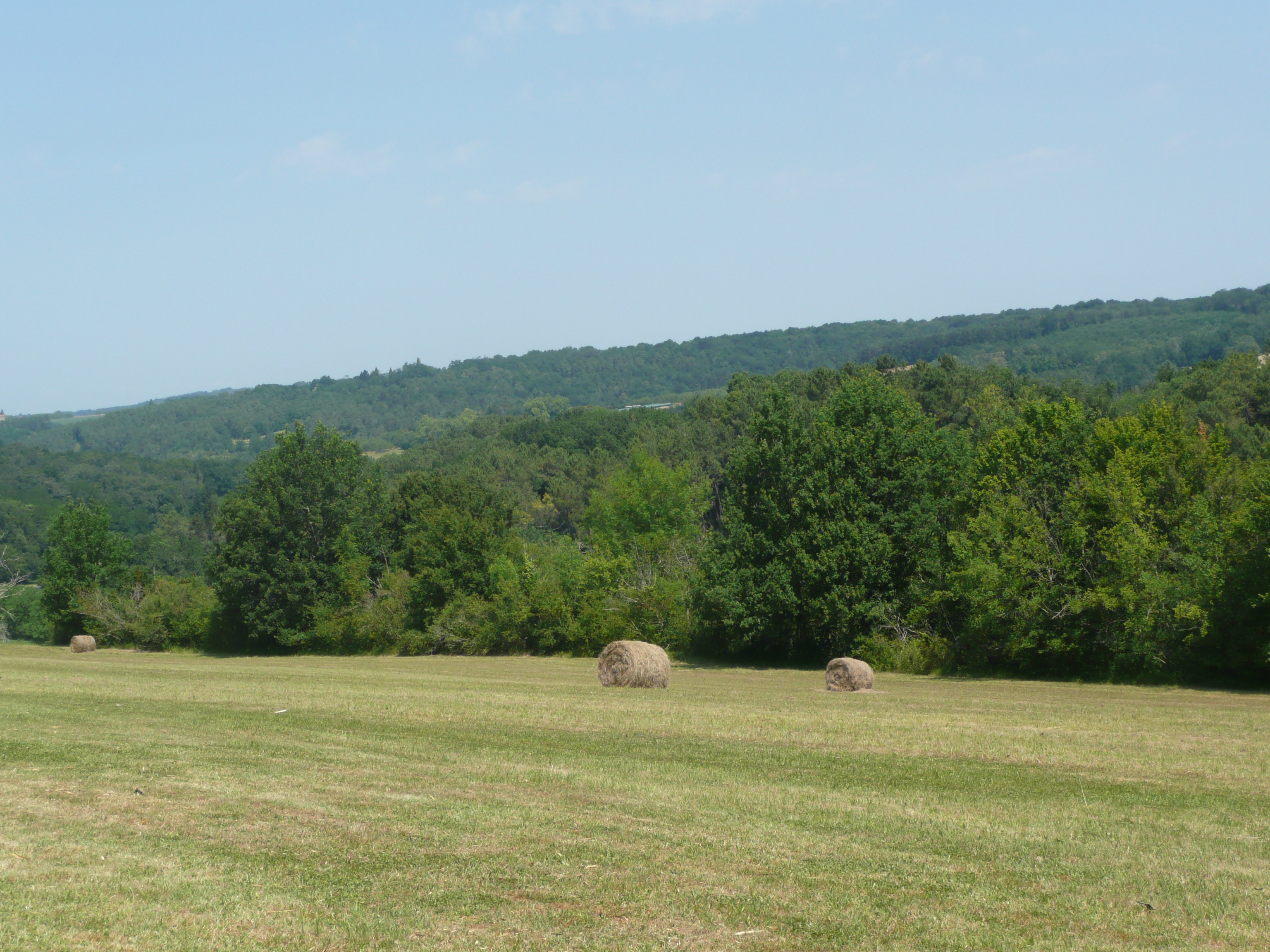 photo8